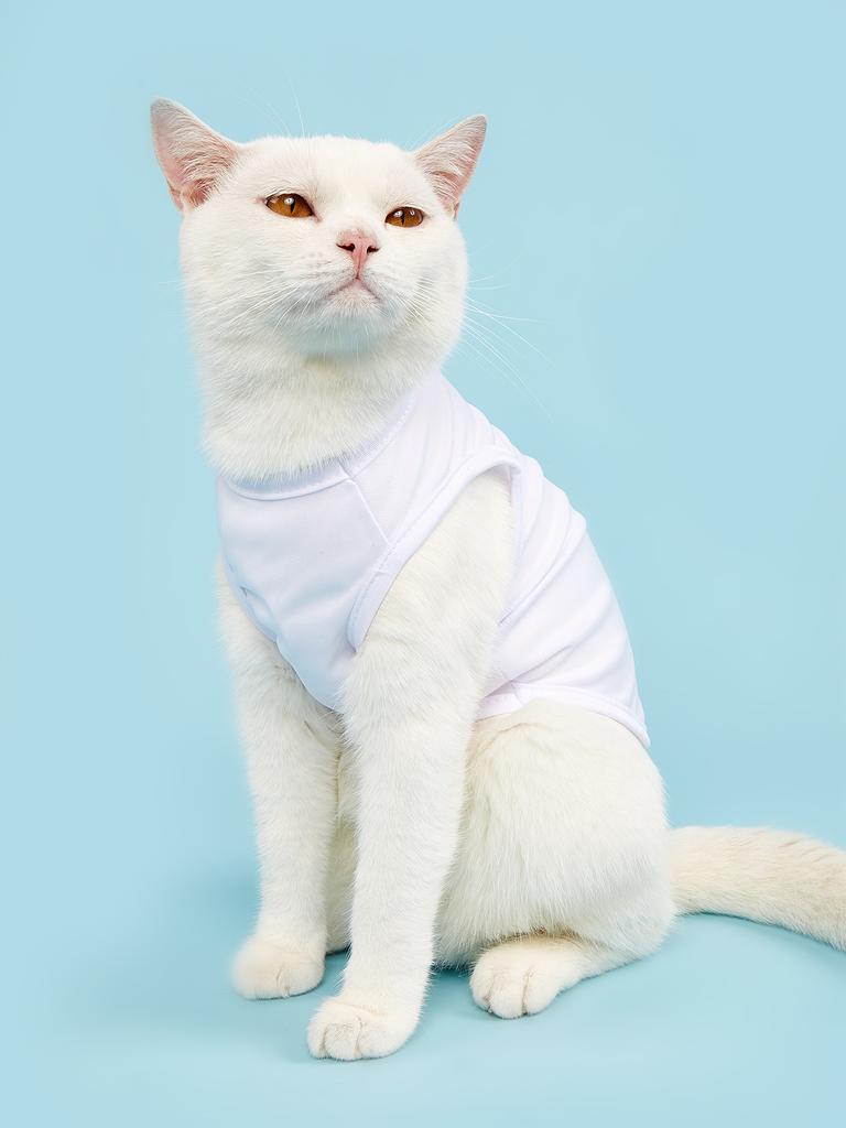 Hundekleid Hundeweste, Welpenkleidung für kleine mittlere Hunde Mädchen Jungen, Katzenbekleidung Frühling Sommer Kleidung