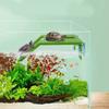 Large Turtles Dock Resting Basking Platform with Suction Cup Design Climb Ramps Habitat Decors for Turtles Enthusiasts