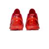 Nike Zoom Kobe 6 Protro "Reverse" FV4921-600 Unisex