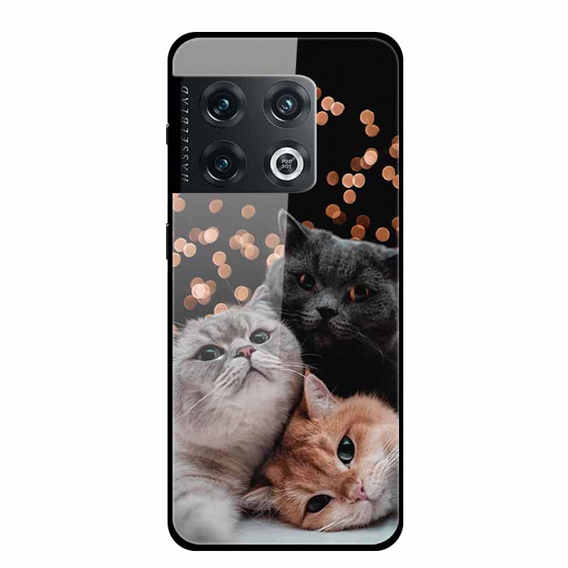 For One plus 10 Pro Case Shockproof Tempered Glass Hard Back Cover For OnePlus 10 Pro 10Pro Oneplus10 1+10 Pro Bumper Coque Case