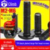 Large Black Flat Head Cross Machine Thread Screw Bolt (M3/M4/M5/M6)