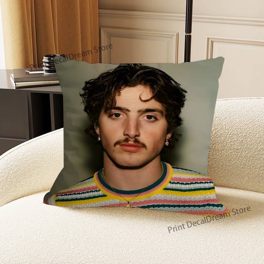 Singer B-Benson B-BooneS Pillow Case Ultra Soft Skin Friendly Fabric Cloud Like Comfort & Concealed Zipper