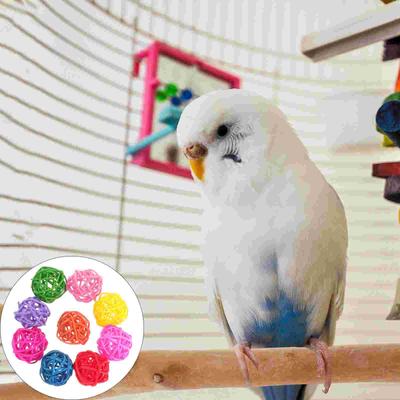 Vögel – Vögel-Spielzeug