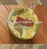 DUCKNOT 21oz Duck Hunter Camo Sierra Cup Case In (Made Japan)