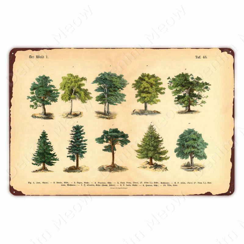 VintageWildFlowersMetalSign Vintage Metal Tin Sign - Wild Flowers Plant Herbarium Art Plaque, Kitchen/Home Wall Decor