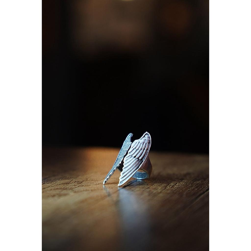 Flügelmodell, verstellbarer schwarzer Ring