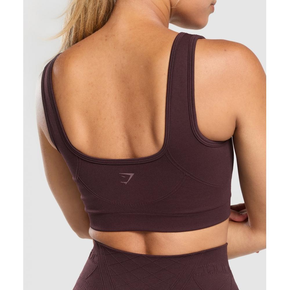 Gymshark Corset Seamless Sports Bra Heritage Brown B9a7p Ncnz