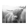 Black and White Highland Cow Cattle Canvas Painting Nordic Posters and Prints Wall Art Pictures for Living Room Home Decoration No Frame