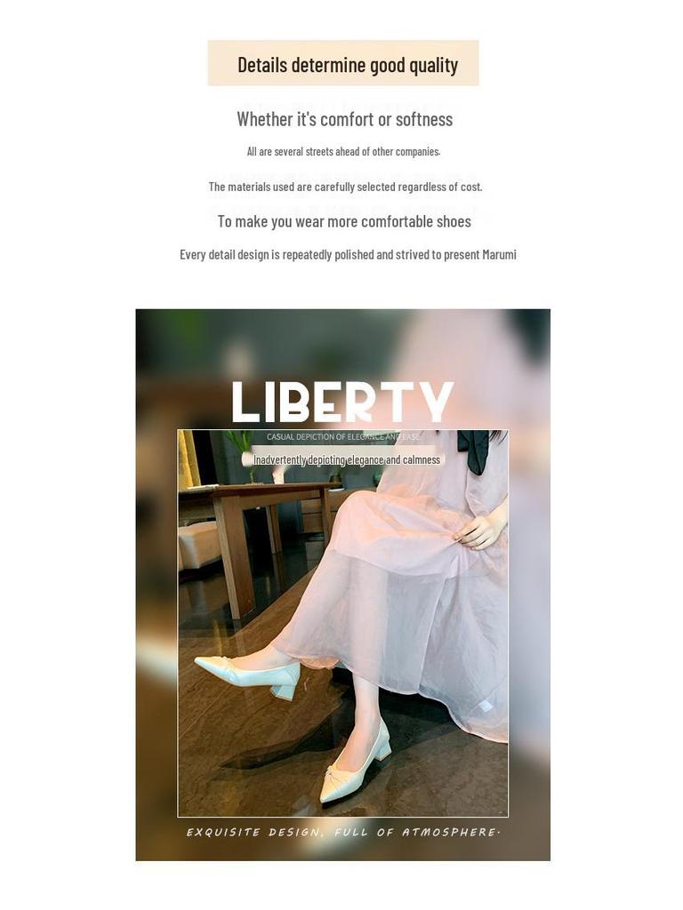 Women's French Style Chunky Heel Pointed Toe Leather Shoes, Autumn 2025 Edition