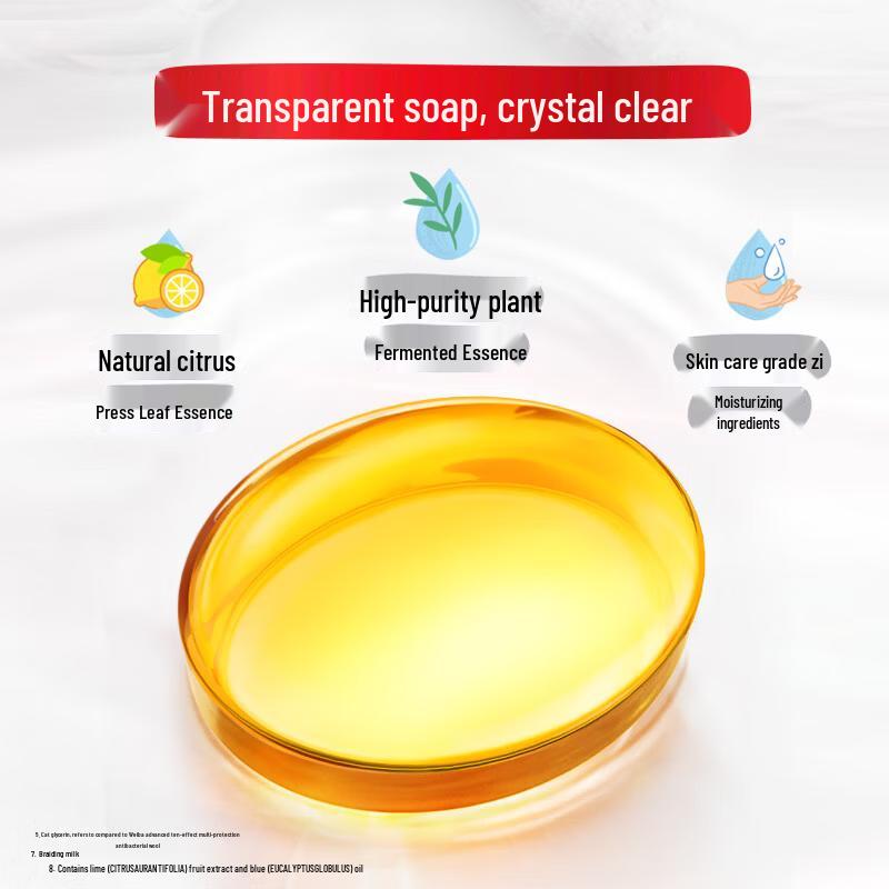 Lifebuoy Fresh Scent Antibacterial Soap Bars