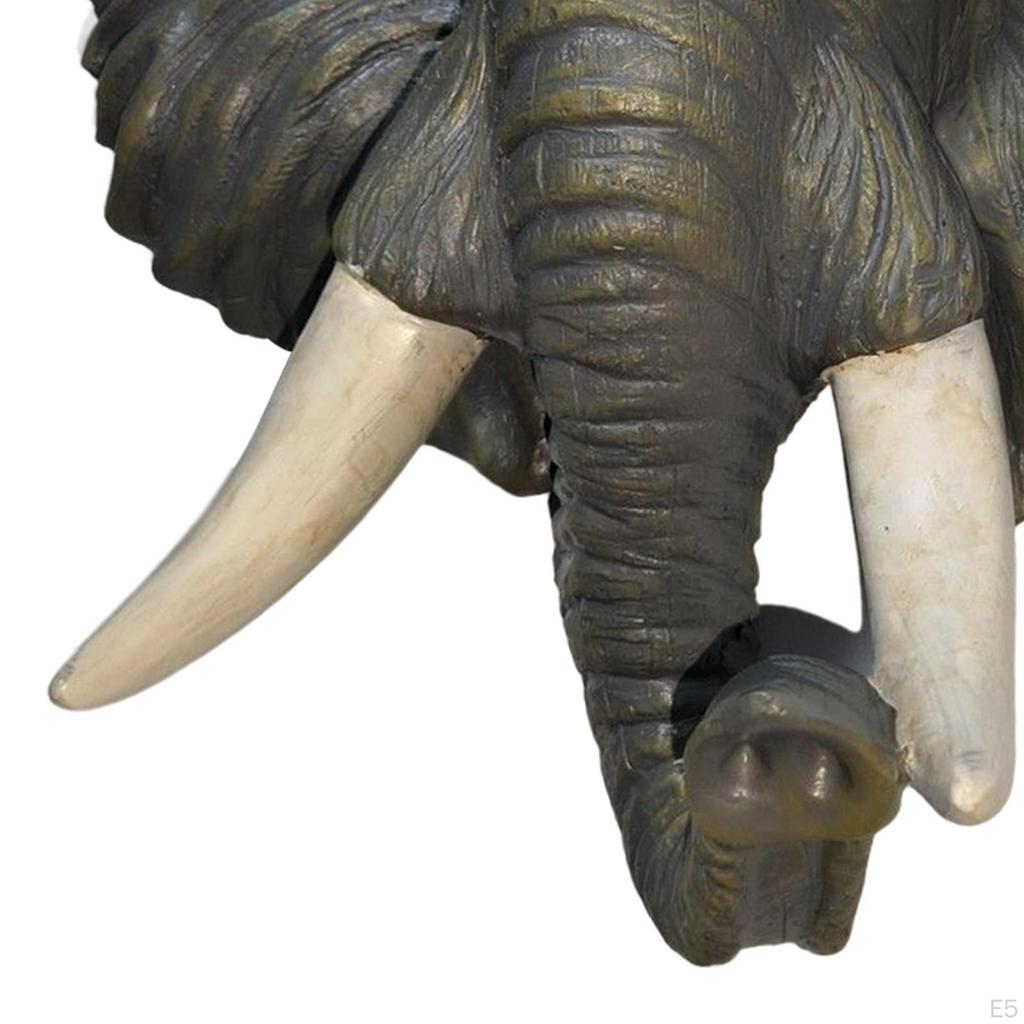 3 Wall Decoration Fine Workmanship for Living 0Cmx9Cmx21.5cm Stylish Addition to Mount Ornament