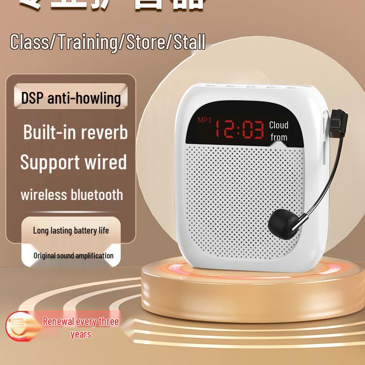 Little Bee Portable Amplifier with Built-in Recording and Anti-Howling for Teachers and Street Vendors