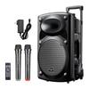 Newmine B12 12-inch Portable Bluetooth Trolley Speaker CN Plug (adapter Included)