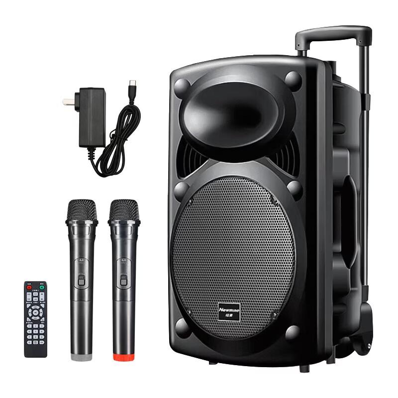 Newmine B12 12-inch Portable Bluetooth Trolley Speaker CN Plug (adapter Included)