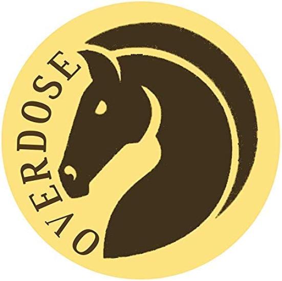 OVERDOSE Punk Stone Leather Journal Handmade Antique Stone Unisex Leather Drawing Notebook 6 X 8 Inches 15 X 20 Cm A5 Stone/Feather - Journal, Diary,