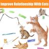 Speedy Panther 22 Pcs Cat Toys for Indoor Cats Adults Interactive Kitten Toys Cat Tunnel Mouse Feather Teaser Wand Spring Toy