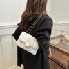 2024 New Fashion Simple Texture Casual Shoulder Bag Women Chain Small Square Bag Korean Version Street Trend