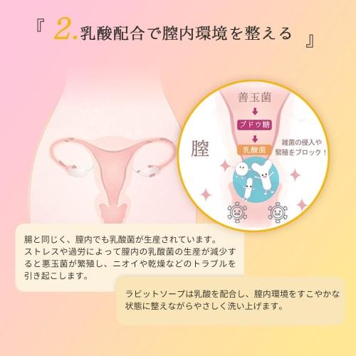 Rabbit Soap, for Delicate Areas and Underhair. Foaming Soap-free Formula with Beauty Ingredients for Moisturizing, Hydrating, and Radiant Skin. Made I