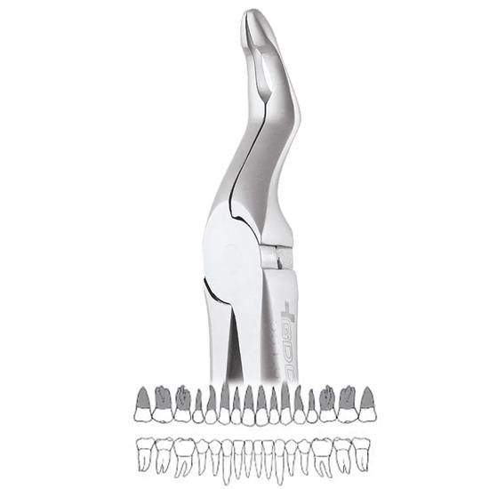 GDC Extraction Forceps Upper Roots - 951.00 Secure (Sfx951.00)