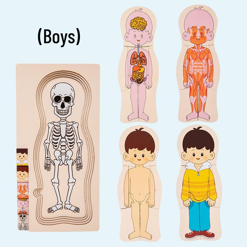 Montessori Menschlicher Körper Puzzlebrett – Pädagogisches Holzspielzeug für Kinder