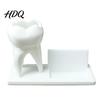 Dentist Office Supplies 3D Printed Tooth Pen Holder with Business Card Holder 2 In 1 Personalized Gift Teeth Shape Desk Organizer Desktop