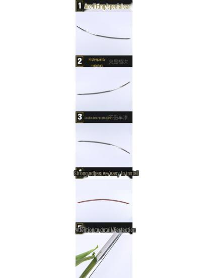 CT5 Stainless Steel Hood Trim: Bright Surface Accessories Compatible with 20 Models