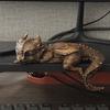 Dragon Statues Decors Animal Sculpture Collectibles Figurines Decorative Ornament Home Decors Accent Housewarming Gift