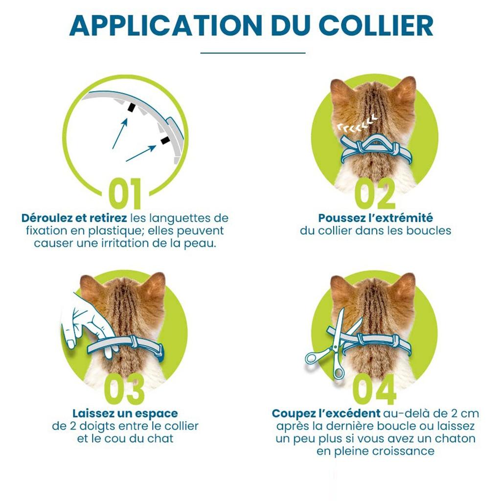 A Nt I Chip A Nt I Chip Necklace, Ant I Chips And A Nt I -Ticks For Dogs