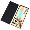 Magic Academy Quill & Student Fountain Pen Gift Set