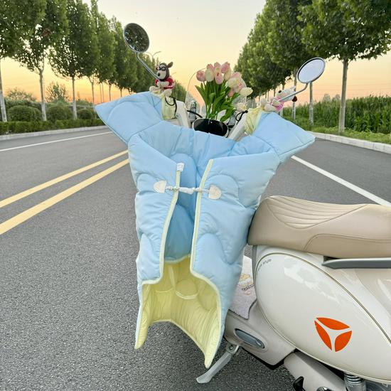 All-Season Electric Car Windshield Cover: Extra Large, Thick, Double-Sided & Waterproof with Side Wings