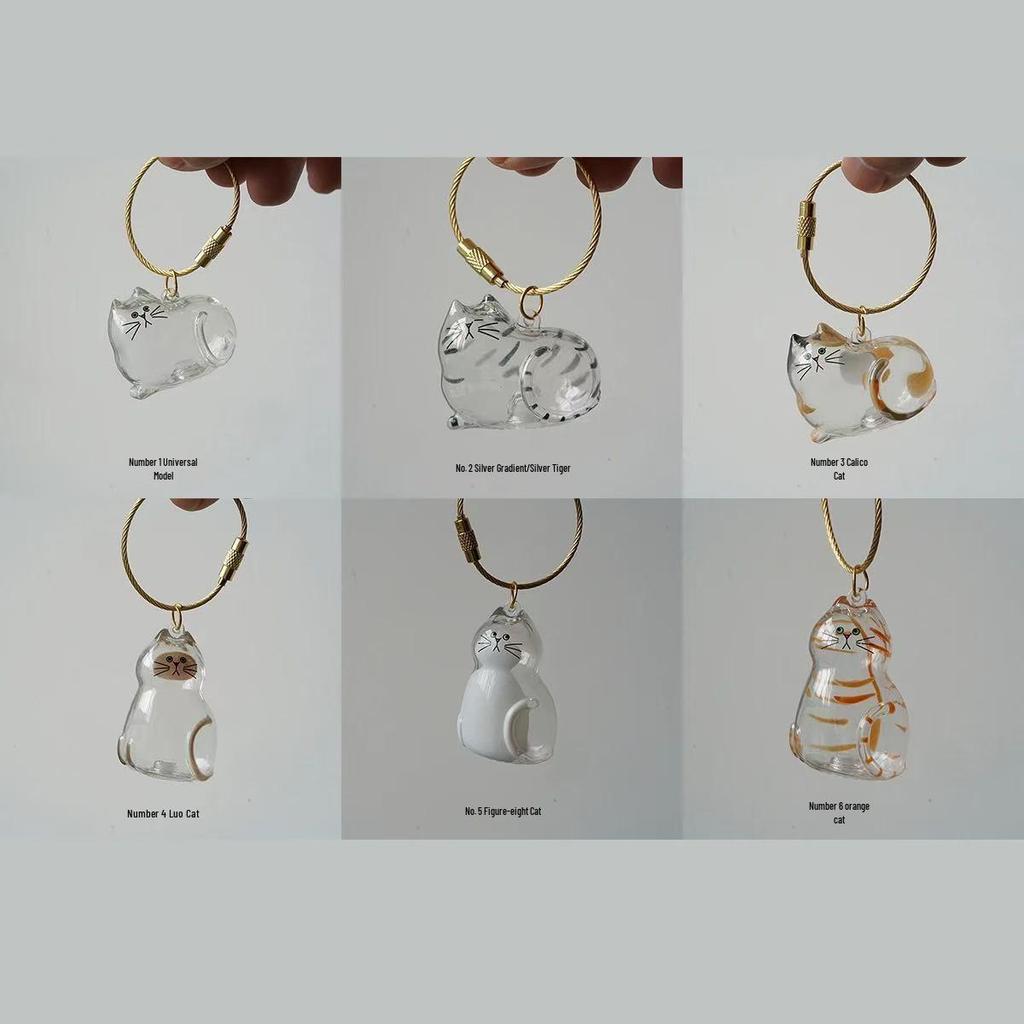 Clear Cat Hair Capsule Keychain: Commemorative Storage Box and Charm
