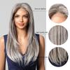 LOUIS FERRE Synthetic 13x6 Lace Wigs Long Straight Hair Gray Ombre Wigs Daily Use Party Wig for White Women Heat Resistant