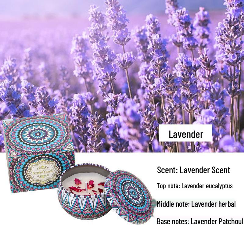 

Свеча из соевого воска с ароматом сухих цветов для свадеб и дней рождений – Ароматерапевтический ароматный подарок Small Horse Tin Can [No Color Box]