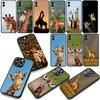 Animal Giraffe Cover Phone Case for Xiaomi Redmi 15C 15 A4 A5 9A 9T 10A 10C 9C NFC 14C Note 11 9 10 Pro 8T