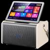 SAST SW-20 All-in-One Karaoke System with Screen CN Plug (adapter Included)