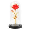 LED Lamp Glass Cover Rose Flower Micro Landscape Decorative Light Christmas Gift