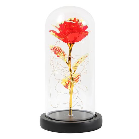 LED Lamp Glass Cover Rose Flower Micro Landscape Decorative Light Christmas Gift