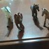 Collection Doll Action Figure PVC Model Horse Baby Figure Wild Animal Toy Simulation Wild Animals