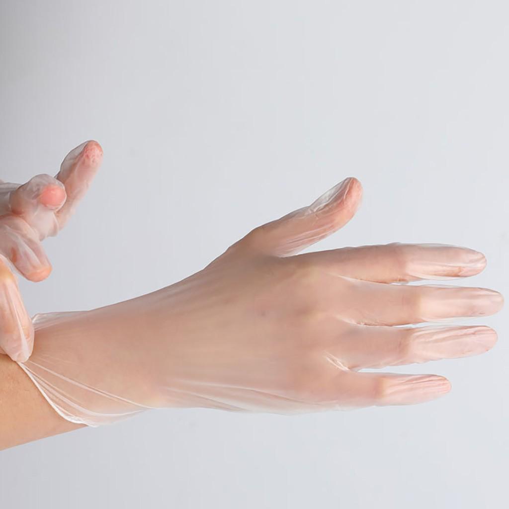 50pcs Disposable Rubber Powder-Free PVC Transparent Gloves