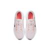 New Nike Downshifter 11 'Light Soft Pink' Women's CW3413-601
