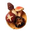 Mushroom Fridge Magnets Refrigerator Magnets Fridge Decorative Magnets for Home Whiteboard Classroom Office Locker