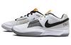 Nike Ja 1 Light Smoke Grey DR8786-100