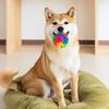 Giocattolo per Cani Palla Spinosa con LED Resistente al Morso Squeaky Palla Arcobaleno Luminosa Giocattolo Interattivo Cani Piccoli Medi Grandi Dentizione Pulizia Giocattolo da Masticare