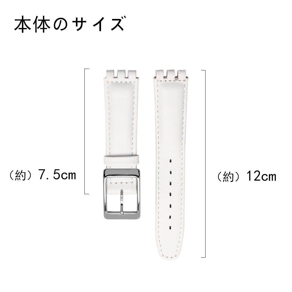 ZHUOLEI Swatch Watch Includes 3 Spring Spring Bar and Box Strap, 17mm/19mm, White, Bars, Remover,