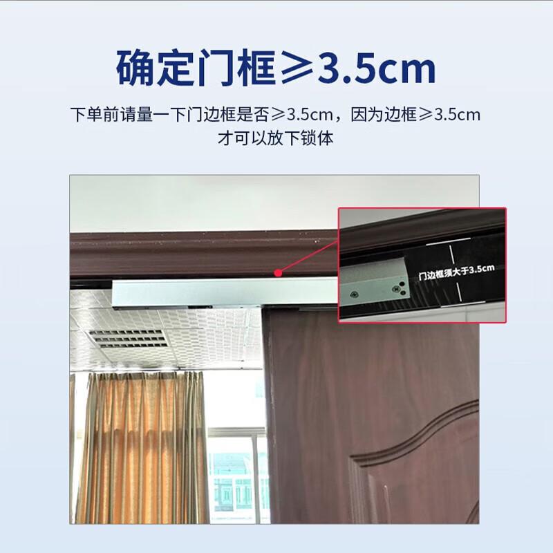 Realand F207T03 Facial Recognition Access Control & Double Magnetic Lock Kit