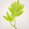 Bifurcate Maple Leaf Aquatic Plant Plastic Decor: Green Simulation Grass, Flower, and Leaves for Cake and Hotel Decoration.