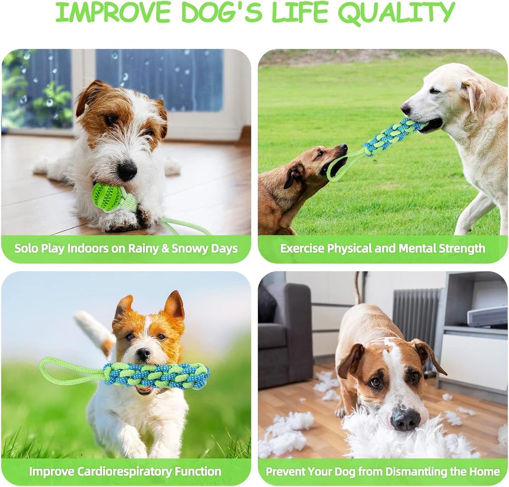 Interactive Dog Toy Tug of War Spring Rope Dogs Outdoor and Indoor Hanging Pull Rope Ball Puppy Molar Teeth Cleaning Chew Toys