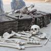 28 Pack Skeleton Bone and Skull Halloween Skeleton Bone Figurine for Halloween Spooky Graveyard Ground Decoration