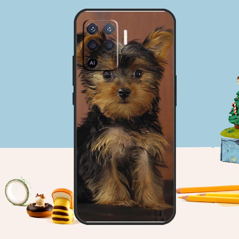 

Yorkshire Terrier Dog Puppy Case For Oppo A98 A78 A58 A18 A38 A74 A94 A54 A15 A17 A57 A6 A5 Pro A16 A76 A96 A40 A60 A80 OPPO A78 4G