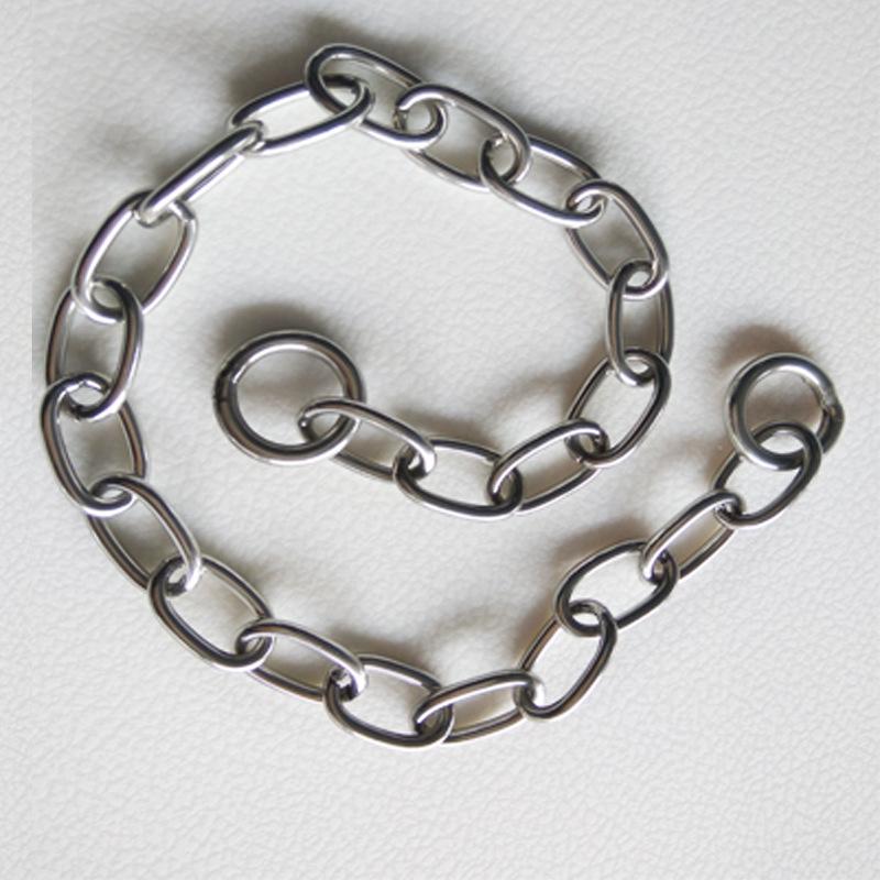 Stainless Steel P-Chain Dog Training Collar and Leash Set